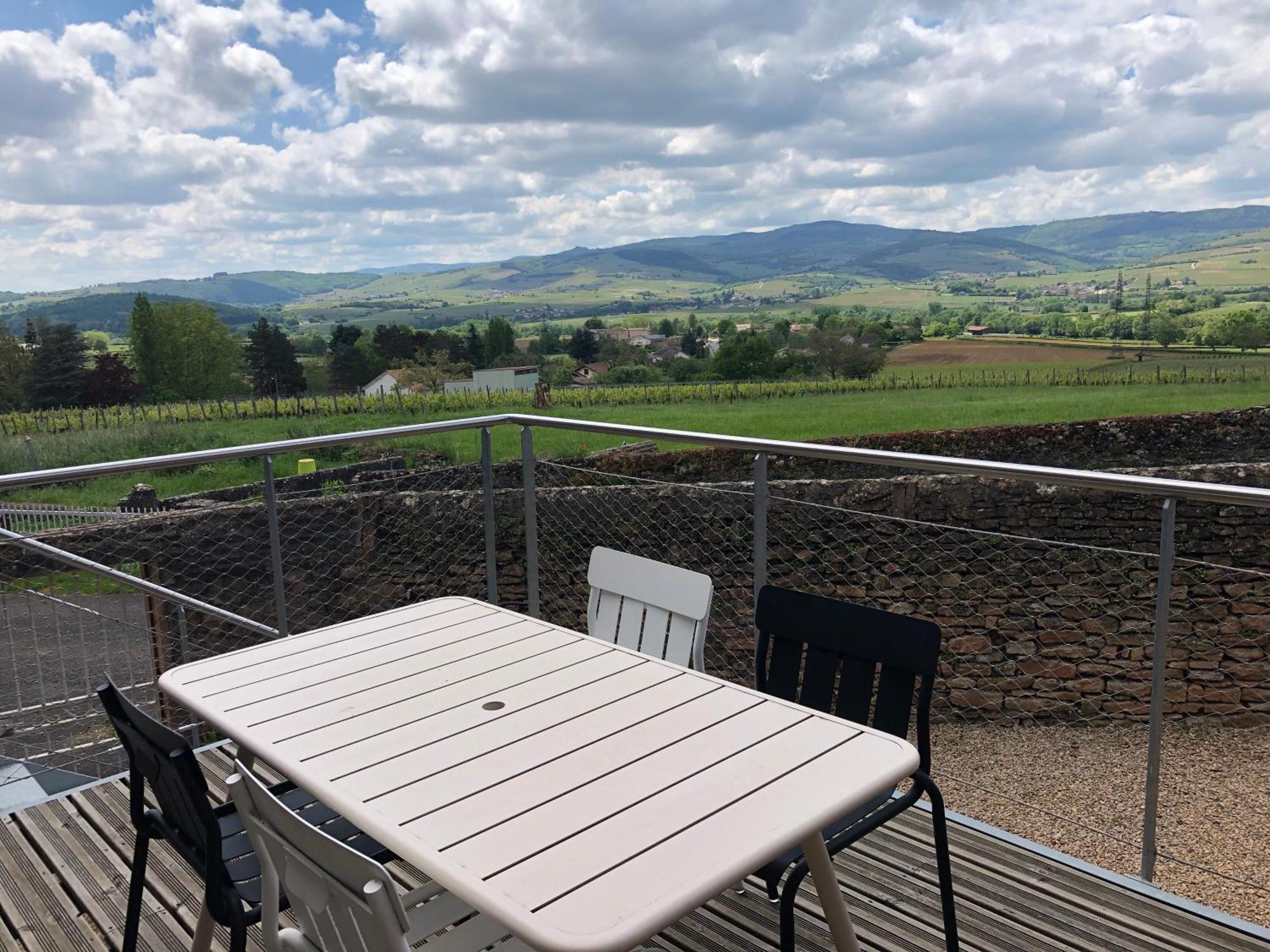 Appartement Contemporain Dans Une Authentique Demeure Viticole Charnay-lès-Mâcon Zewnętrze zdjęcie